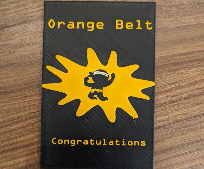 Code Ninjas/Martial Arts Orange Belt Plaque