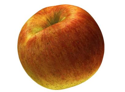 The Apple-3