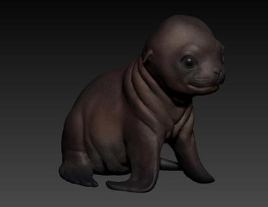 sea lion, sea lion cria