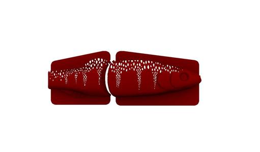 Lure Stencil - Boyd Duckett Juvenile  (scaledperch)