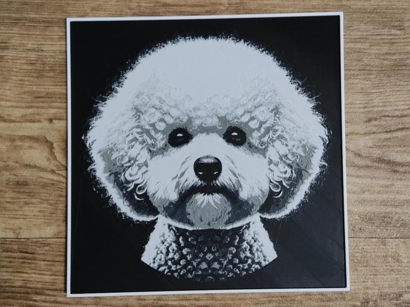 Bichon Frisé - hueforge