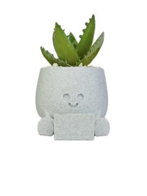 BOBBY PLANTER / LAPTOP PLANTER / SUCCULENT PLANTER / HAPPY FACE PLANTER