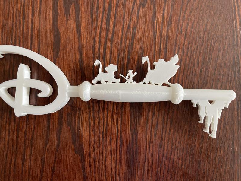 Disney Lion King Hakuna Matata Themed Key