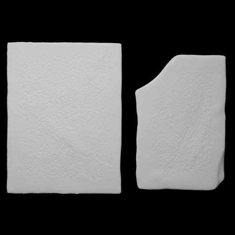 Pair of soap berry leaves fossil