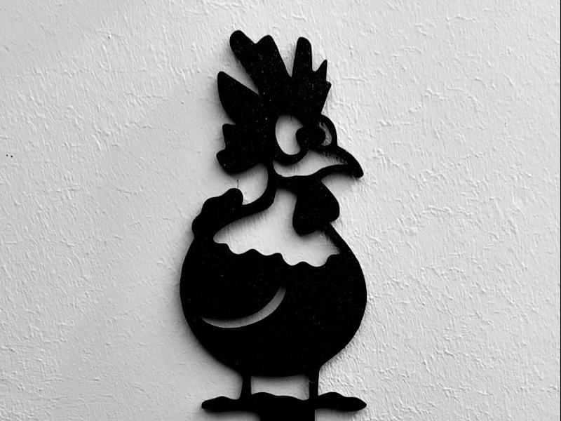 Random Chicken sign to garden