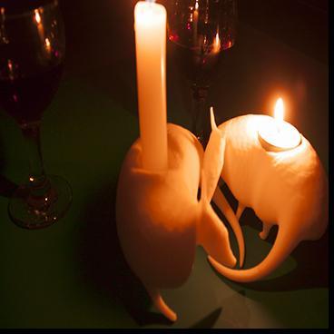 Armadillo Candle