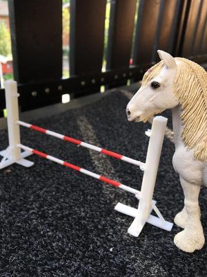 Toy Horse Jumping Obstacle
