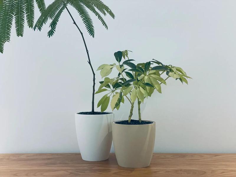 Egg-shaped Planter/Breathable/Water Collection/Planter Set/Outer Pot