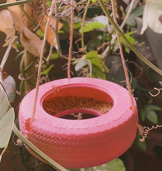 WingSwing! A bird feeder/swing