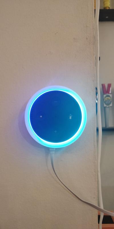 Amazon Dot Wall Mount