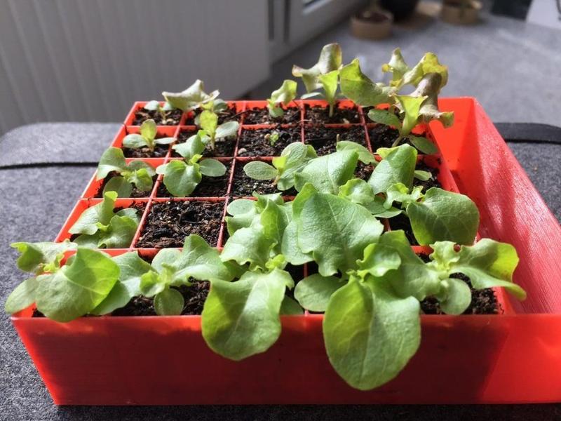 Seedling pot with water depot