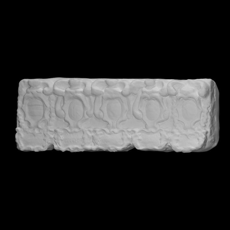 Five coats of arms 2