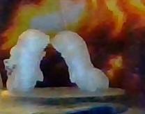 Fighting Tardigrades