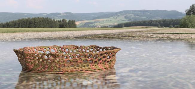 Bowl v7 (bigger more robust)