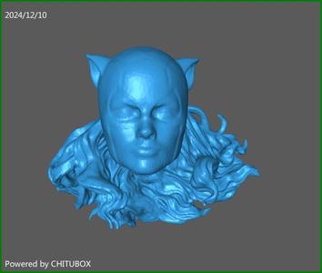 Catwoman Head Jim Balent Version