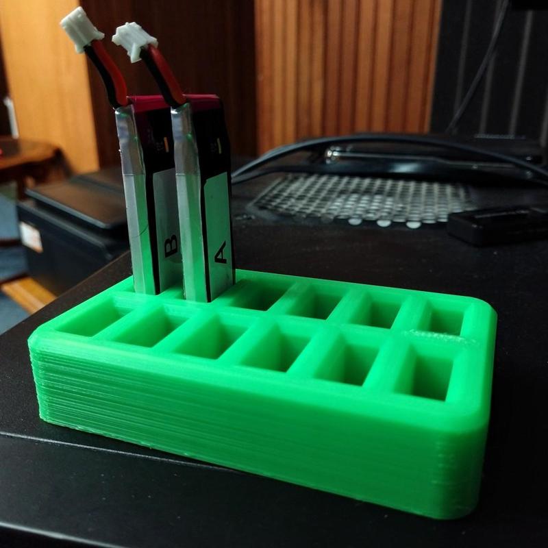 1s 450mAh LiPO Battery Organizer