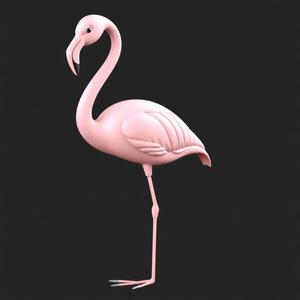Elegant Flamingo