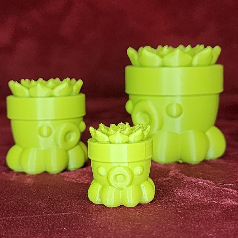 Octopus Succulent No. 2