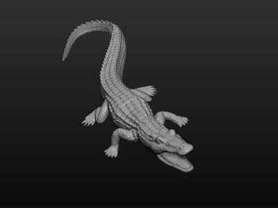 crocodile - toy for kids