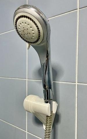 Shower holder