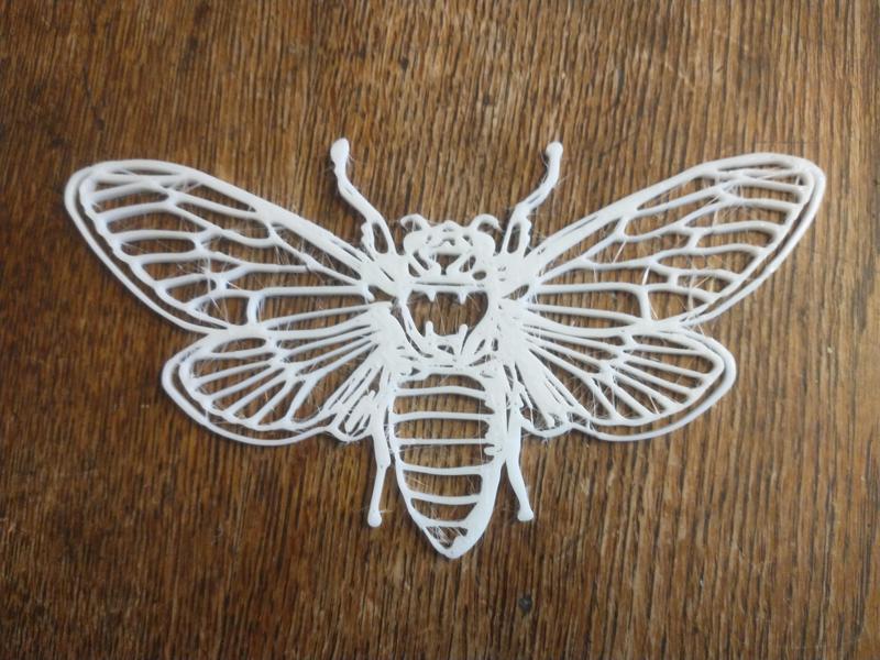 Cicada Wall Art