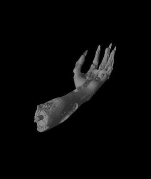 hand.OBJ