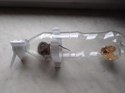 mouse trap