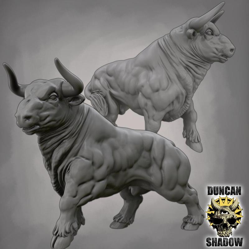 Bulls (Pre Supported)