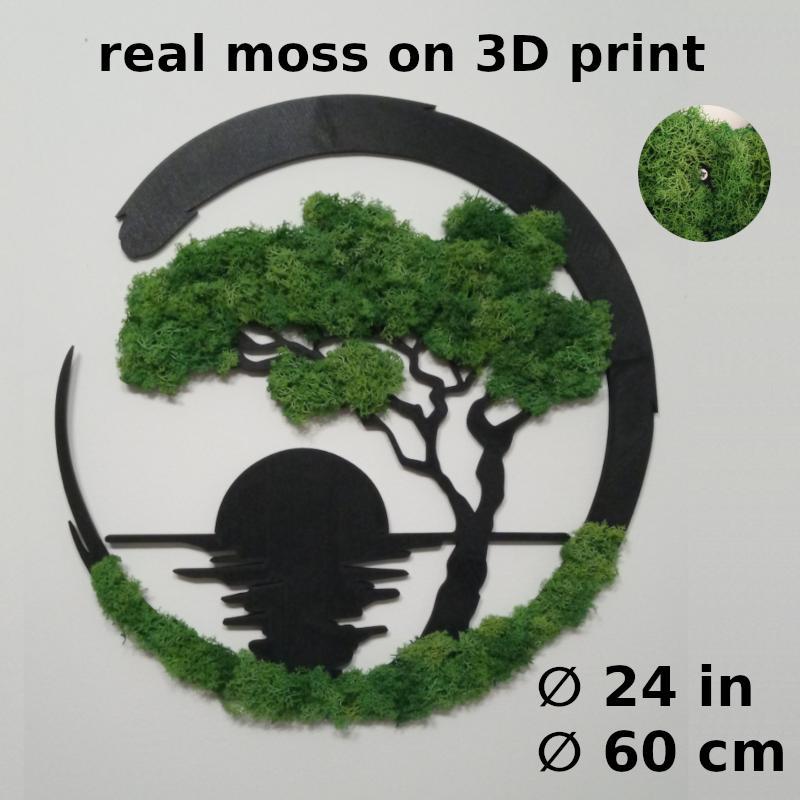 Bonsai with moss for wall (60cm!)