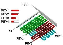 Autonomous assay chip based on a 3D-printed monolithic microfluidics