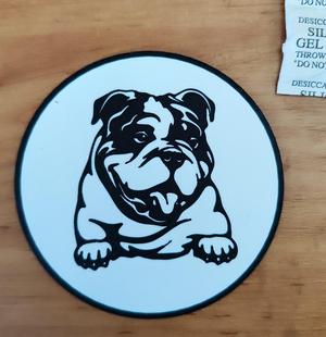 Coaster English Bulldog