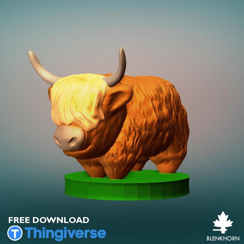 ANIMAL SERIES - HIGHLAND COW