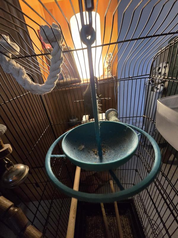 comedero colgante aves pequeñas/medianas