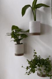 JUMBO Wall planters