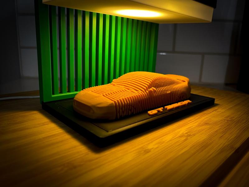 Mustang GT350R- Layered Car Art 