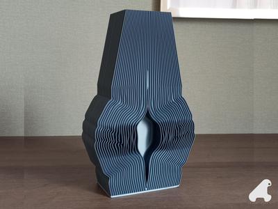 VASE DUALITY