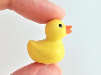 Small Duck for hiding
