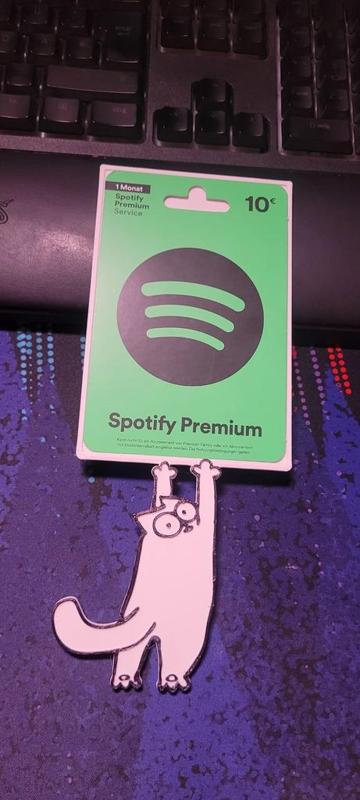 Cat Spotify Gift Card Holder