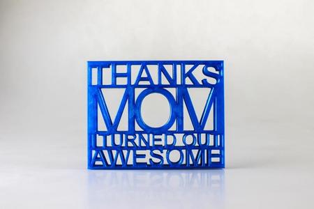Thanks Mom I Turned Out Awesome - Photo Frame