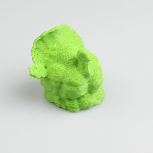 Thanksgiving Turkey in plumage