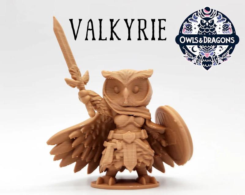 The Valkyrie - Owls & Dragons   
