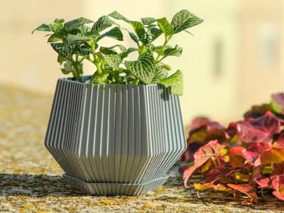 Hexagonal Pot