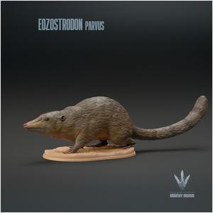 Eozostrodon parvus : Triassic Mammal