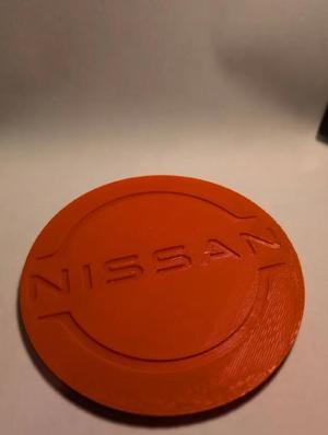 Niassan Coaster   