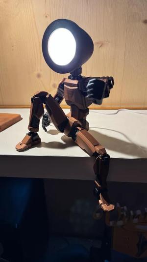 LED Lamp Kit 001 Lamp Shade for Dummy 13   