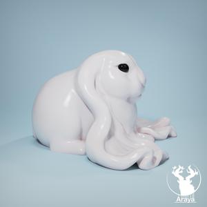 Rabbit