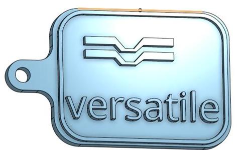 Versatile Key chain