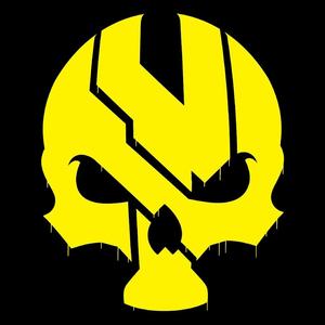 NY Skull