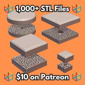 Slime Mold Non-Neural Intelligence Maze Set Educational Model MineeForm FDM 3D Print STL File   