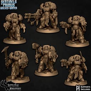 Winter Wolf Sentinel-Paladin Squad